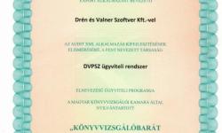 Könyvvizsgálóbarát szoftver 